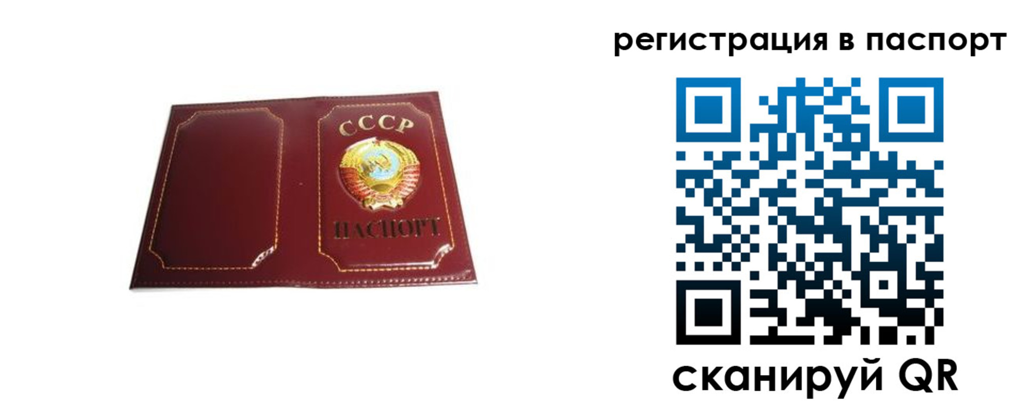 прописка 2025 в Волхове